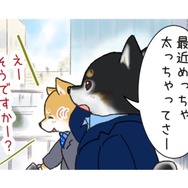 「太っちゃったんだよな」先輩をよく見ると、柴犬のチャームポイントの「あそこ」にお肉が…【がんばれ！しばりーまん #３】