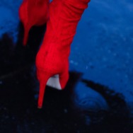 『プラダを着た悪魔』/ weber コレクション