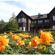 洋館と咲き誇るバラ（前年のようす）