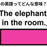 この英語ってどんな意味？「The elephant in the room.」