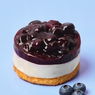 【スタバ日本上陸30周年】春を彩る新作フード5種登場「ブルーベリーレアチーズケーキ」ほか