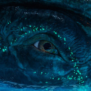 『アバター：ファイヤー・アンド・アッシュ』© 2026 20th Century Studios