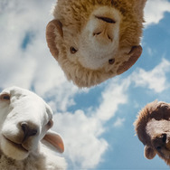 『ひつじ探偵団』