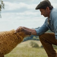 『ひつじ探偵団』