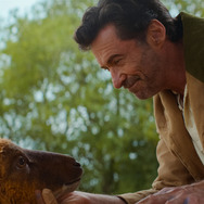 『ひつじ探偵団』