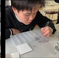 参加者は、ファッション、食、音、デザイン、ワカメ、昆虫、酵素などそれぞれの「好き」を追求