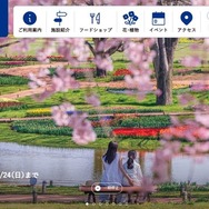 国営昭和記念公園