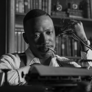 「スパイダー・ノワール」© Aaron Epstein