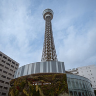 『ラプソディ・ラプソディ』©2026 利重 剛