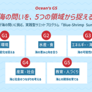 Ocean`s G5