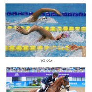 都内で開催される水泳と馬術 (c) OCA
