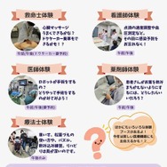 プログラム内容