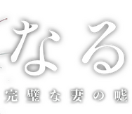 「親愛なる夫へ～完璧な妻の嘘～」