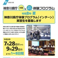 令和8年・夏 神奈川県庁体験プログラム（インターン） チラシ