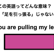 この英語ってどんな意味？「You are pulling my leg.」