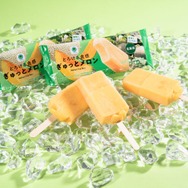 ファミマ、メロン果汁21％の濃厚アイスが今年も登場 夕張＆富良野の恵みを贅沢に配合