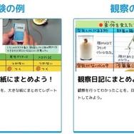 まとめ方のコツ（実験の例、観察の例）