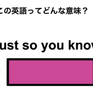この英語ってどんな意味？「Just so you know」