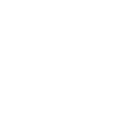 『薔薇の鎖』©2026 映画「薔薇の鎖」製作委員会