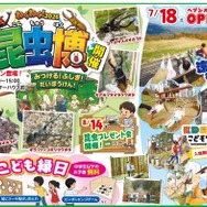 富士見台高原ロープウェイ　ヘブンスそのはら 昆虫博