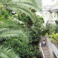 板橋区立熱帯環境植物館
