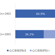 Q 現在の生活における「心の余裕」は、どのくらいありますか。（n=600）