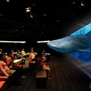 3D Okinawa Churaumi Aquarium