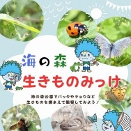 生きもの観察（海の森公園）