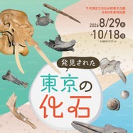 特別展「発見された東京の化石」