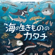 2026 夏の企画展 海の生きもののカタチ