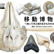 特別体験展示 移動博物館～さわって学ぶ海の生きもののカタチ