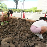 化石発掘体験のようす