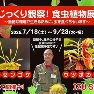 「じっくり観察！食虫植物展」