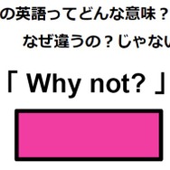この英語ってどんな意味？「Why not?」