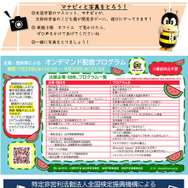 こども霞が関見学デーパンフレット （文部科学省）