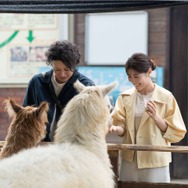 『さとこはいつも』©2026 「さとこはいつも」製作委員会
