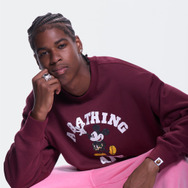 「BAPE（R） × MICKEY & FRIENDS COLLECTION」