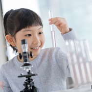 026年の夏休みの自由研究に関する意識調査