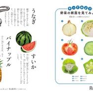 旬の食べ物や、野菜や果物の断面がイラストでわかりやすく説明されている