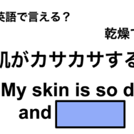 英語で「肌がカサカサする」は何て言う？
