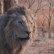 『ライオン・キング：ムファサ』© 2024 Disney Enterprises, Inc.