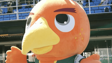 関西リーグ第2節にQolyが直撃！2つの「劇的AT同点劇」をレポ