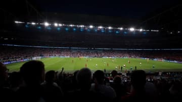 EURO2020決勝、ウェンブリーに虫の大群襲来か