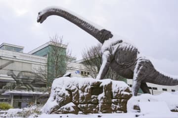 雪に覆われたJR福井駅前の恐竜モニュメント＝18日午前8時37分