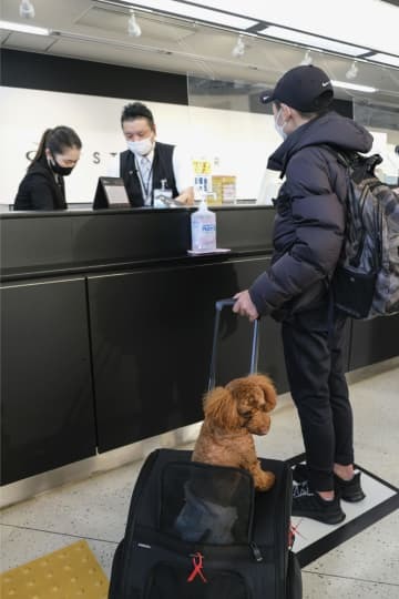 スターフライヤーが昨年12月に実施したペットの機内同伴サービスの実証実験＝北九州空港