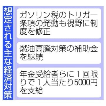 想定される主な経済対策