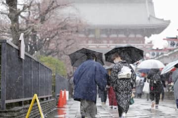 みぞれが降る東京・浅草の仲見世通りを歩く人たち。左は咲き始めた桜＝22日午後0時47分