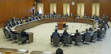 実質討議を行った参院憲法審査会＝23日午前、国会