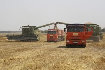 ロシア・トビリスカヤの小麦畑での収穫作業＝2021年7月（AP＝共同）