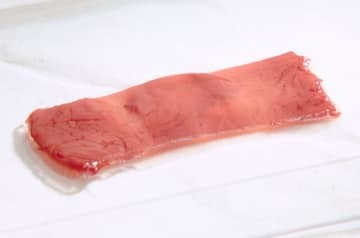 日清食品ホールディングスと東京大学の研究グループが共同で作成した「食べられる培養肉」（同社提供）